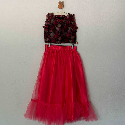 Organza printed Crop Top | Soft net Skirt | 5-6 Yrs - Kalas Couture
