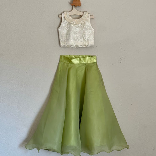 Stylish Cape Collar Crop Top with Organza Circular Skirt | 3-4 Yrs - Kalas Couture